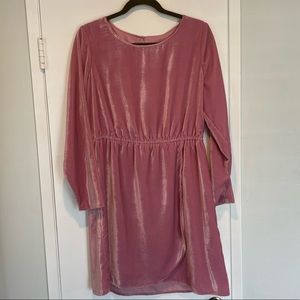 NWT Pink/Mauve J. Crew Dress, size 12